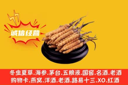 乌鲁木齐达坂城区回收冬虫夏草